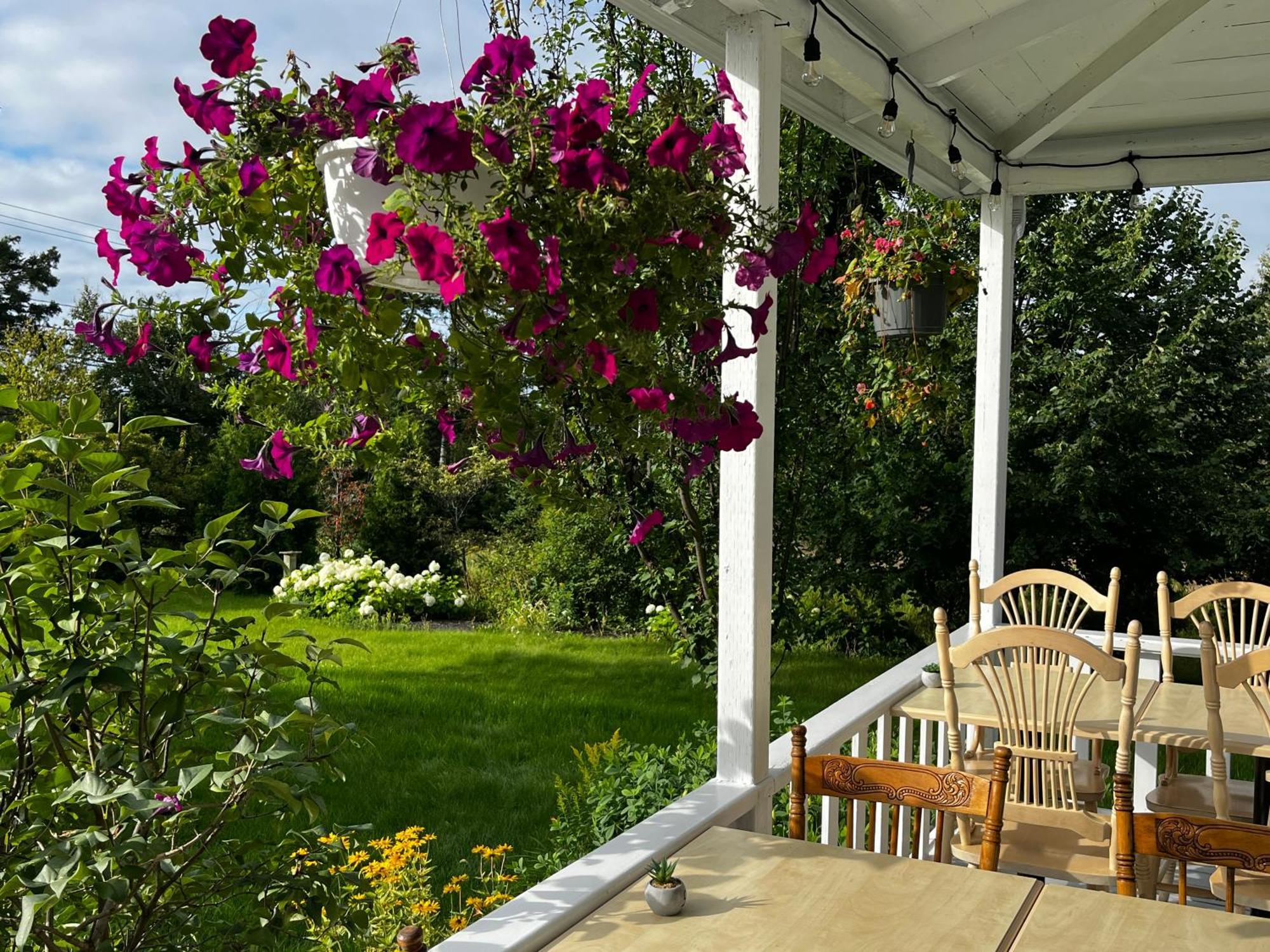 Auberge la Mansarde La Malbaie Extérieur photo