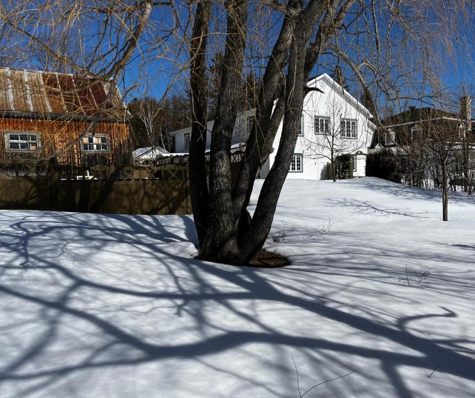 Auberge la Mansarde La Malbaie Extérieur photo